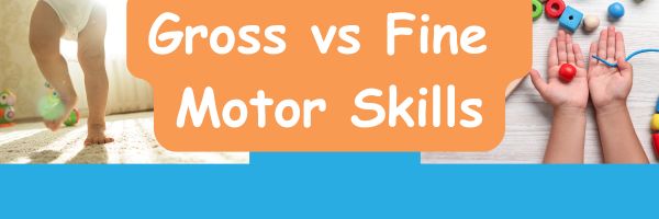 The Building Blocks of Movement: Fine vs. Gross Motor Skills